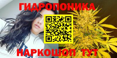 PSILOCYBIN Когалым
