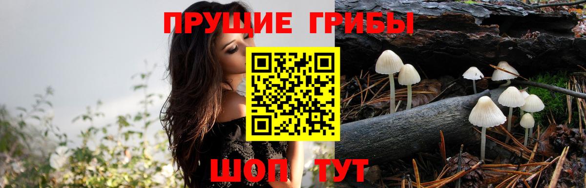 Псилоцибиновые грибы мицелий  Вход с VPN  Галлюциногенные грибы мицелий  Боровичи 