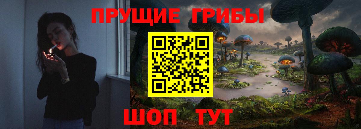Галлюциногенные грибы Psilocybine cubensis Боровичи
